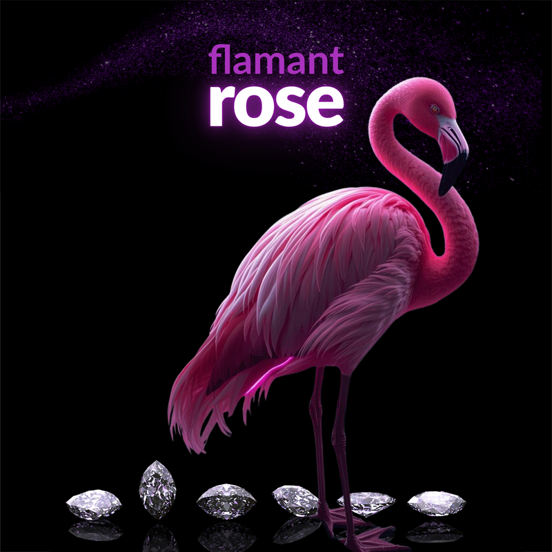 Neon pink flamingo with Flamant Rose glowing in vibrant lights