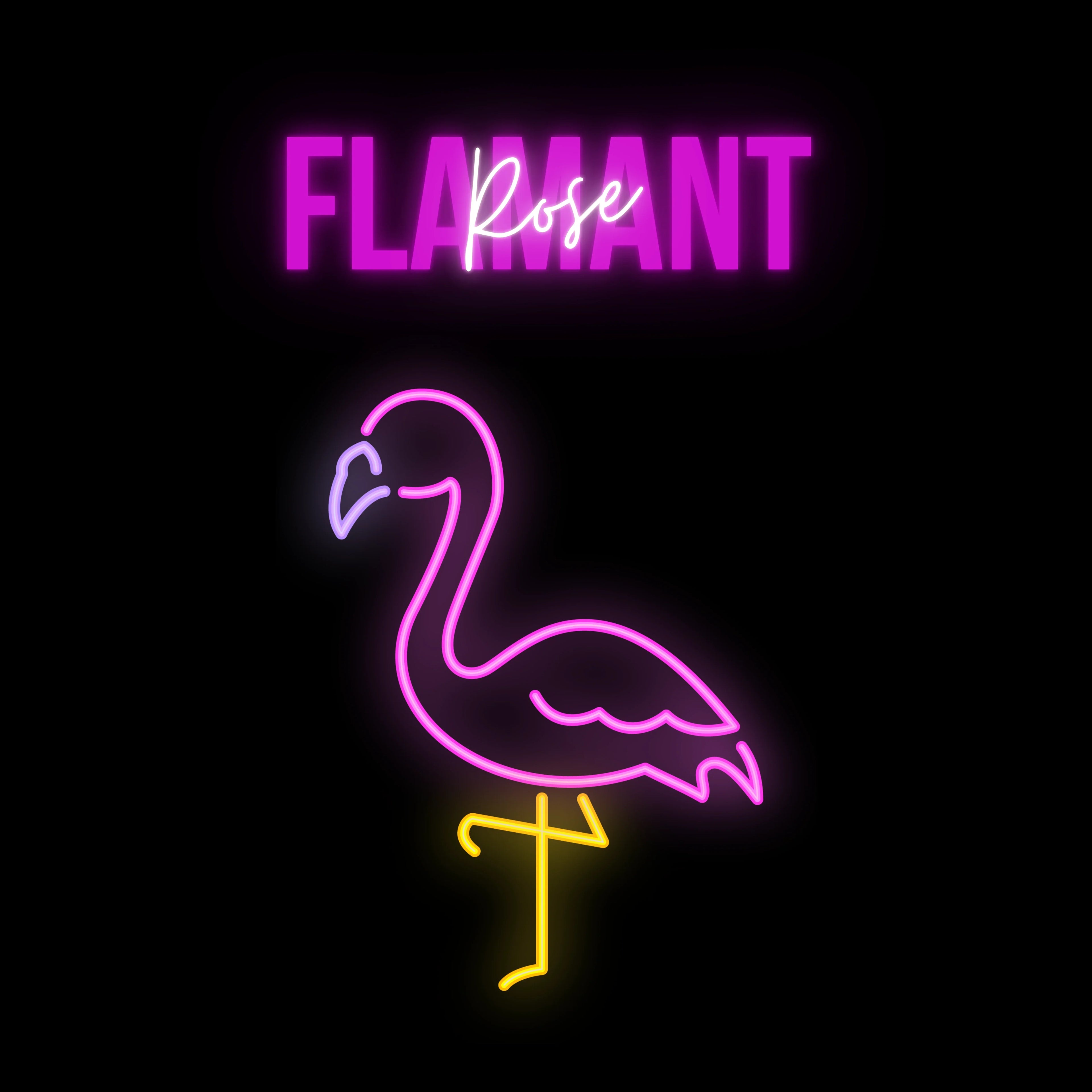 tsgabrielle • Flamant Rose • Shopping Bag • Black