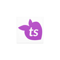 tsgabrielle® • Car Magnets • White • One Sizes