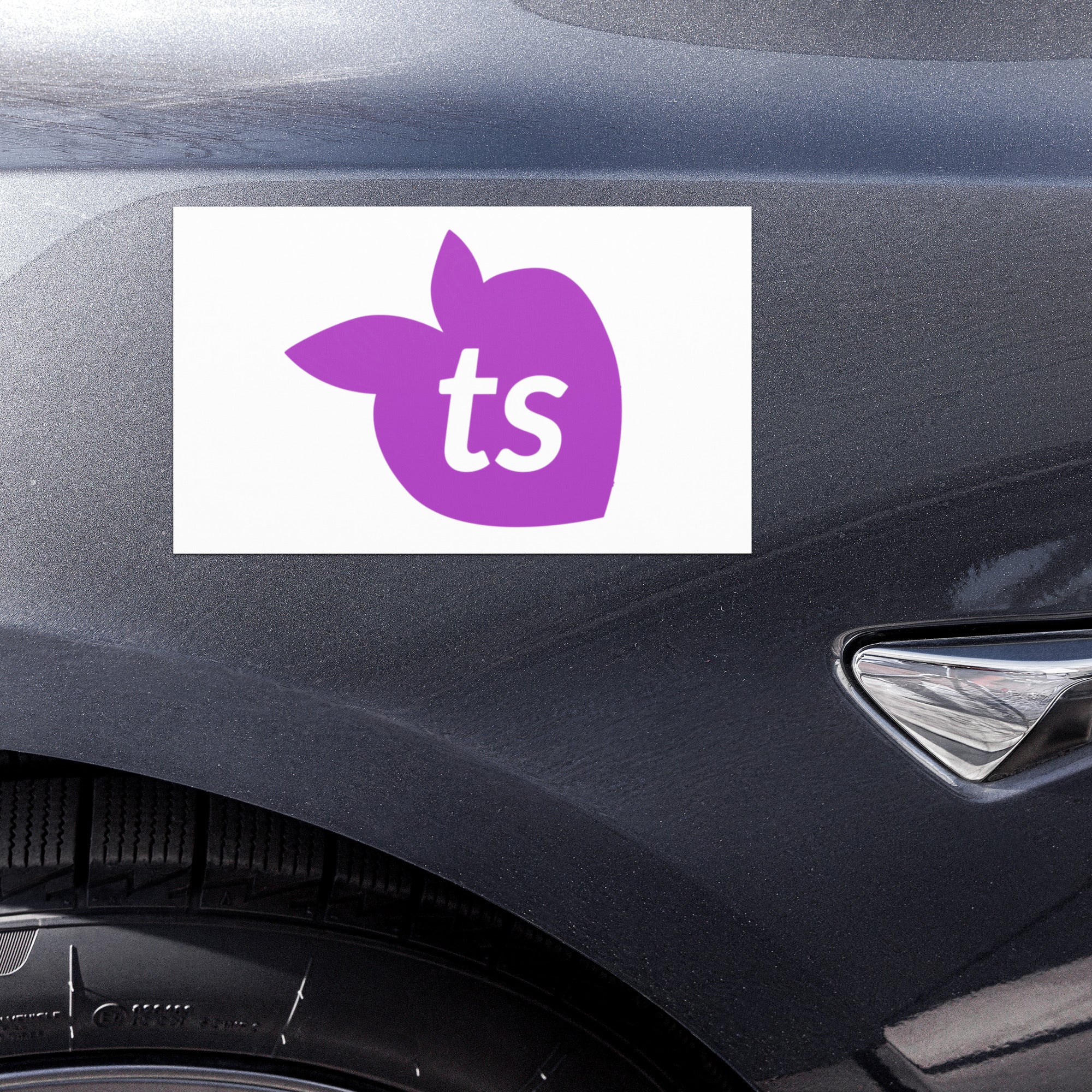 tsgabrielle® • Car Magnets • White • One Sizes