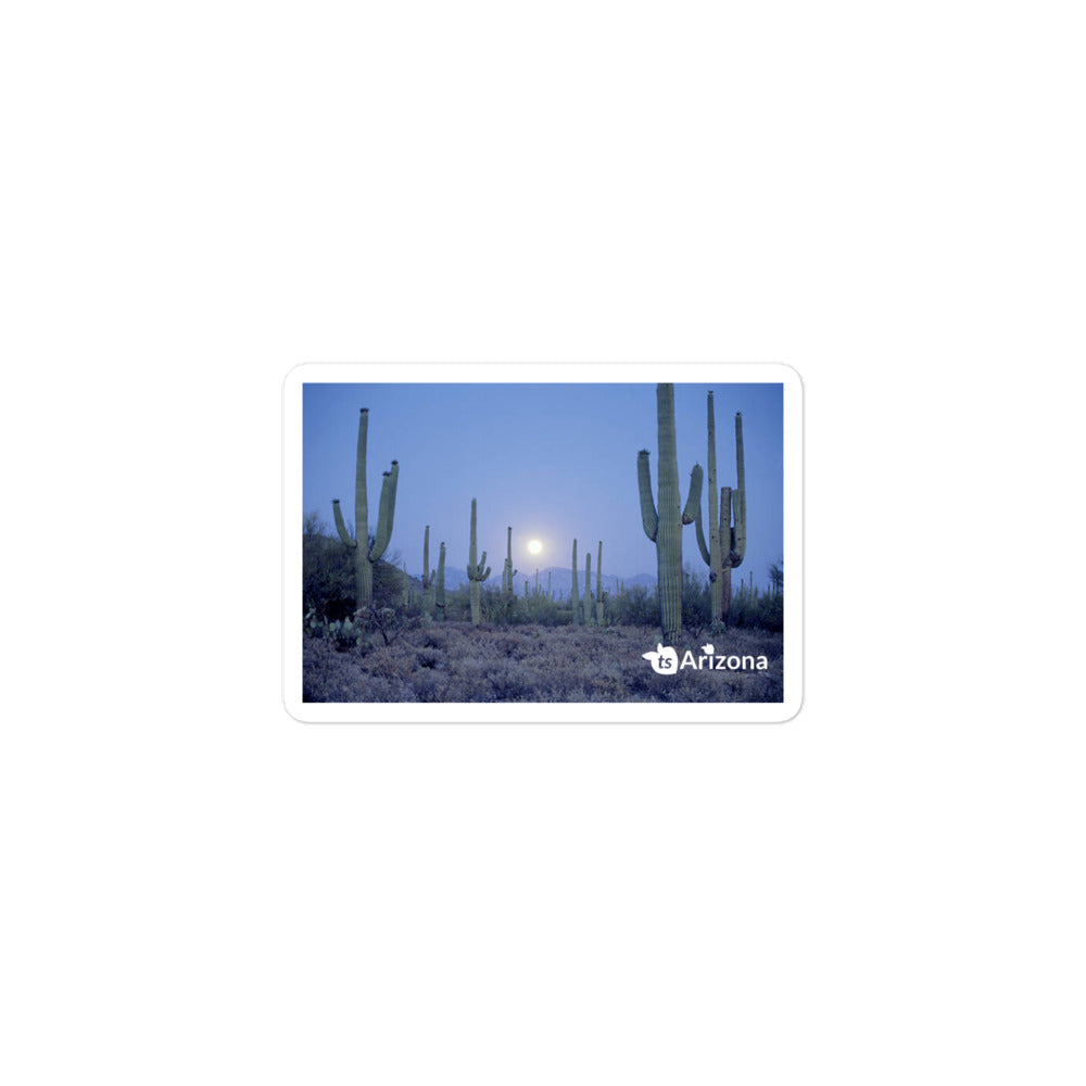 tsgabrielle® • Arizona - Parco Nazionale Saguaro • Adesivo senza bolle • 3 misure