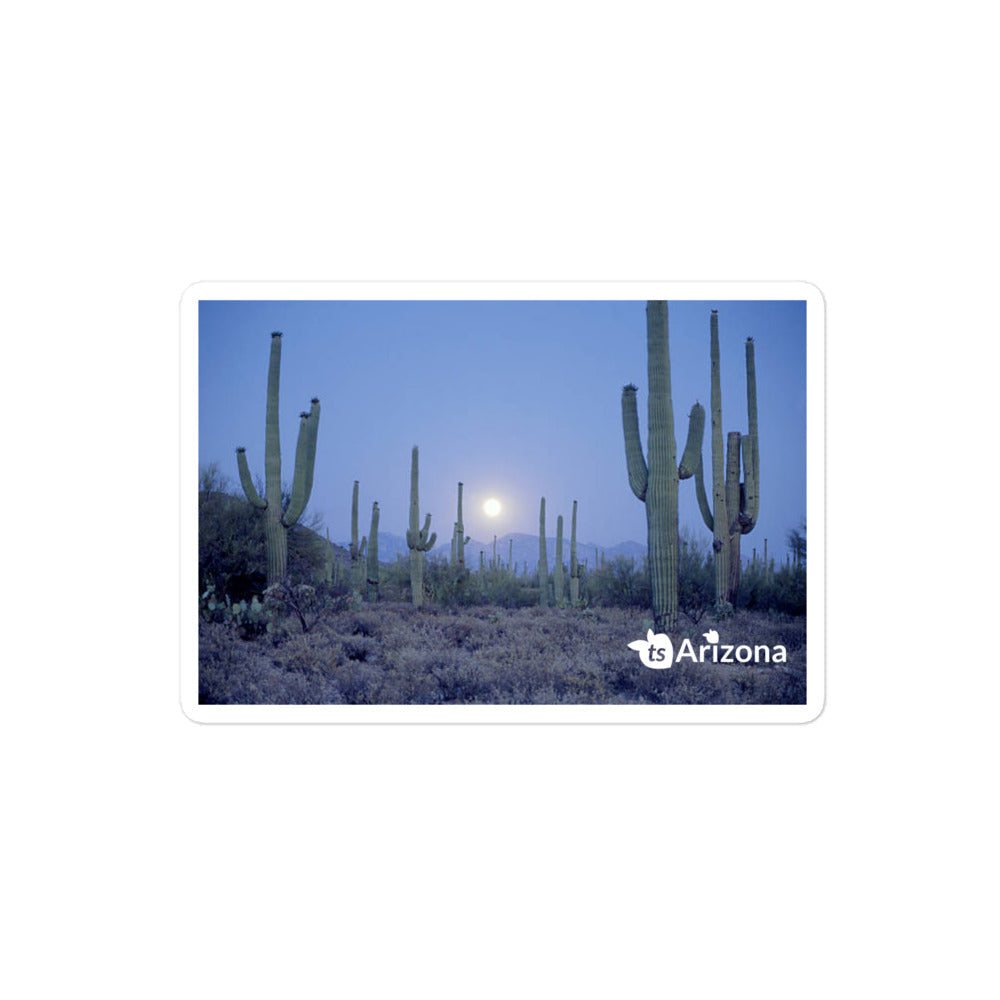 tsgabrielle® • Arizona - Parco Nazionale Saguaro • Adesivo senza bolle • 3 misure