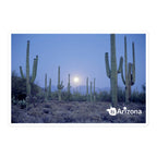 tsgabrielle® • Arizona - Parco Nazionale Saguaro • Adesivo senza bolle • 3 misure