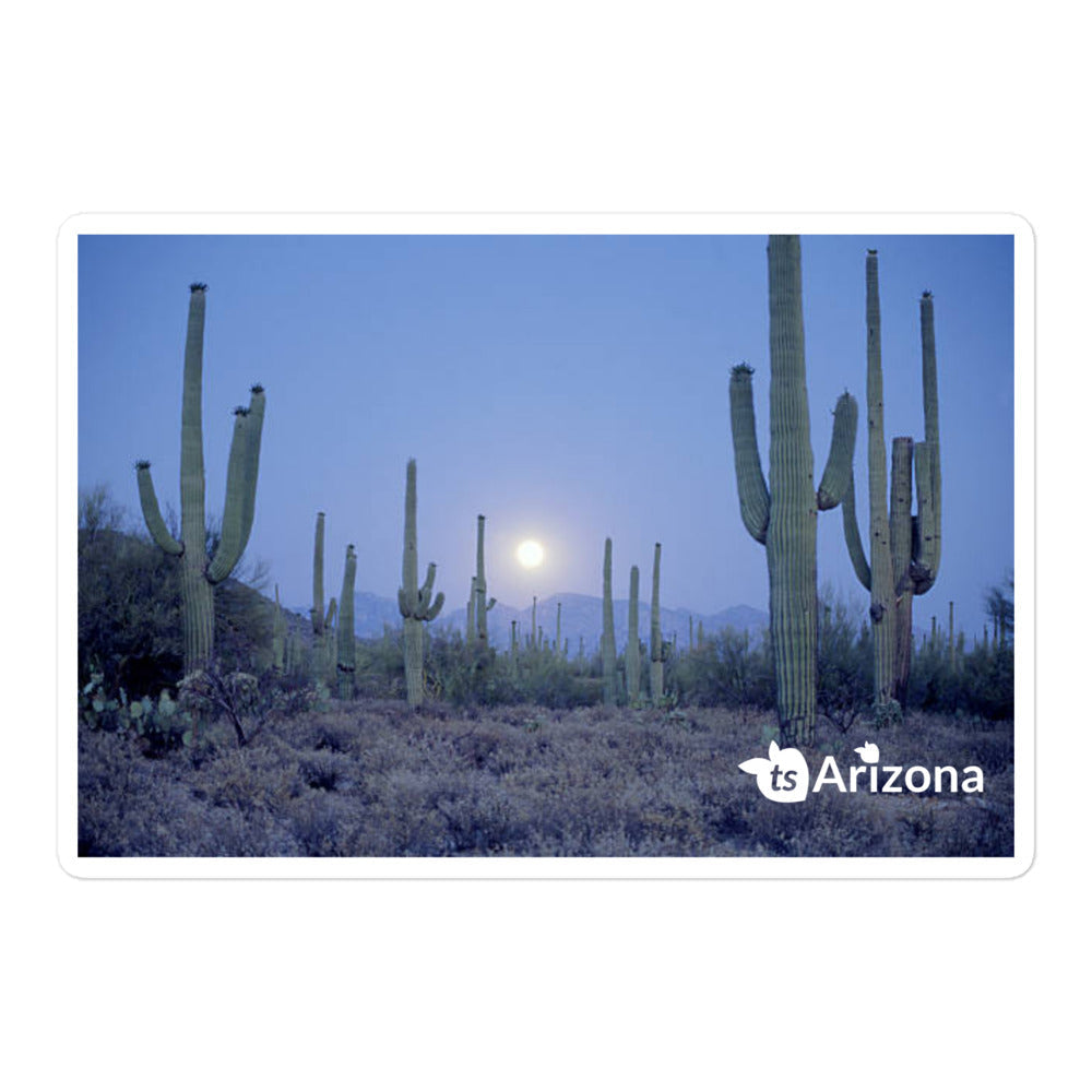 tsgabrielle® • Arizona - Parco Nazionale Saguaro • Adesivo senza bolle • 3 misure