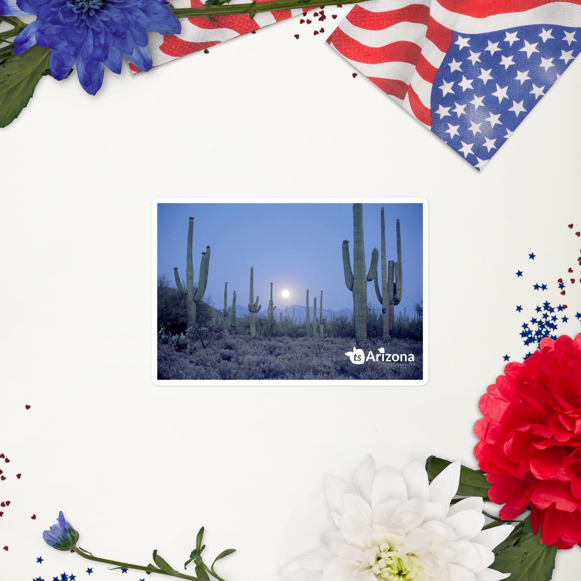 tsgabrielle® • Arizona - Parco Nazionale Saguaro • Adesivo senza bolle • 3 misure