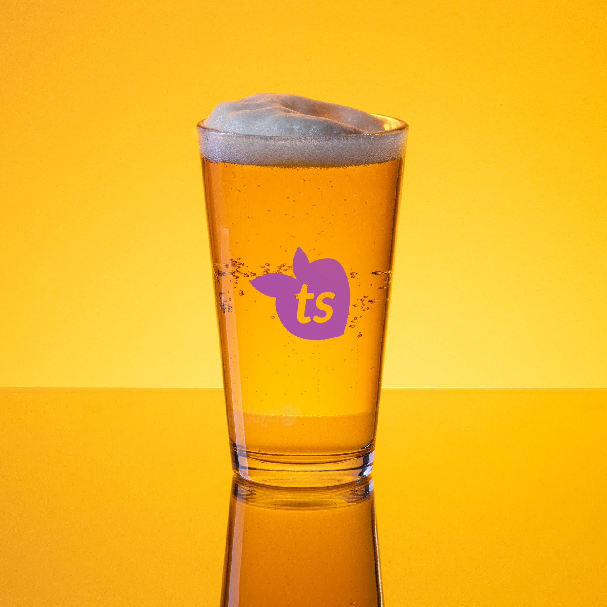 tsgabrielle® • Shaker Pint Glass • 16 oz