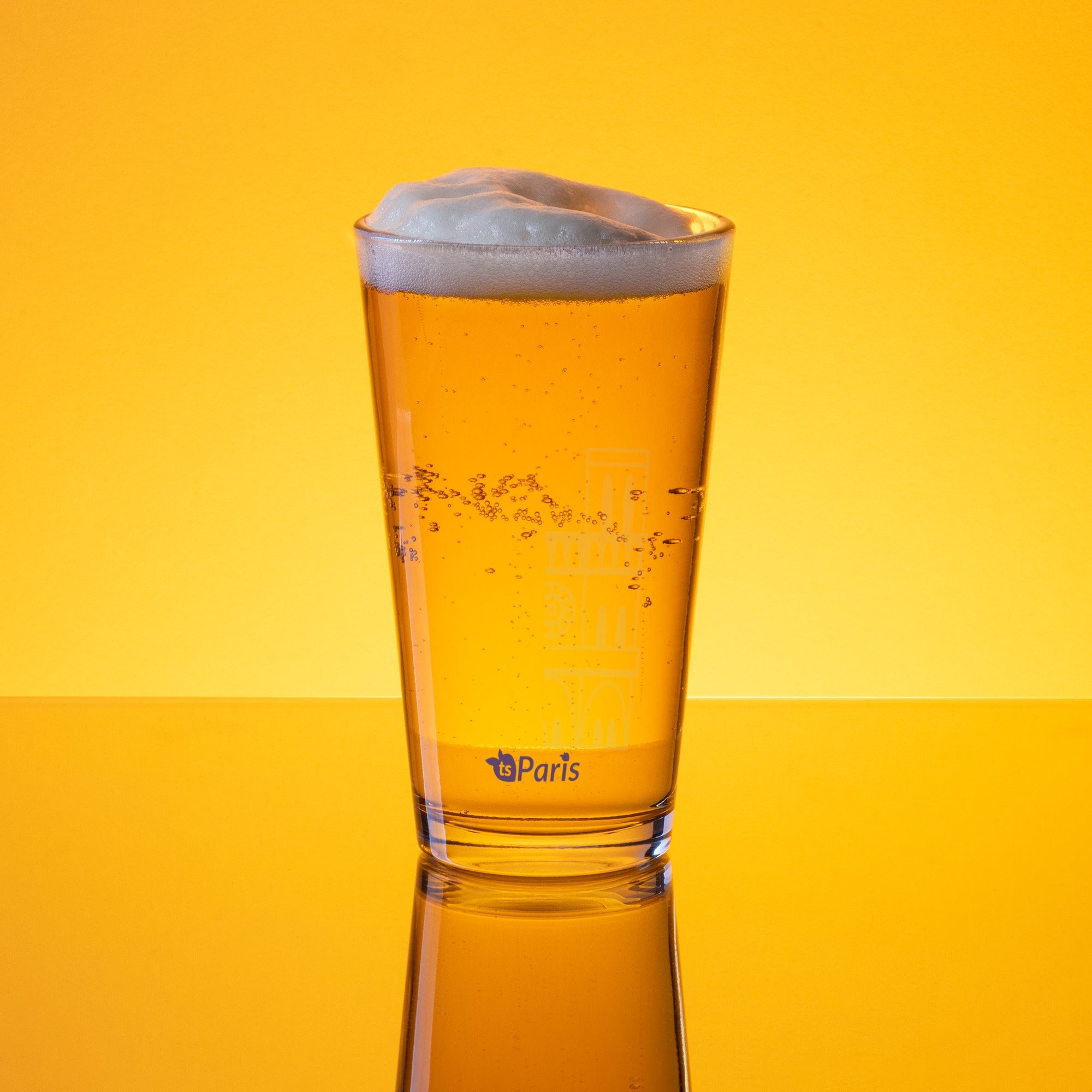 tsgabrielle® • Paris - Notre-Dame Cathedral • Shaker Pint Glass • 473 ml